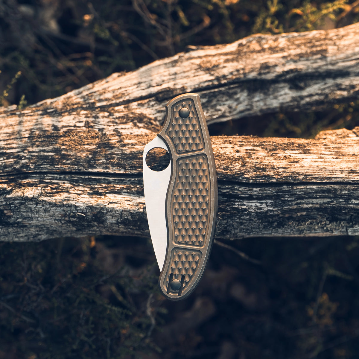 Daily Customs UKPK scales – mood shot