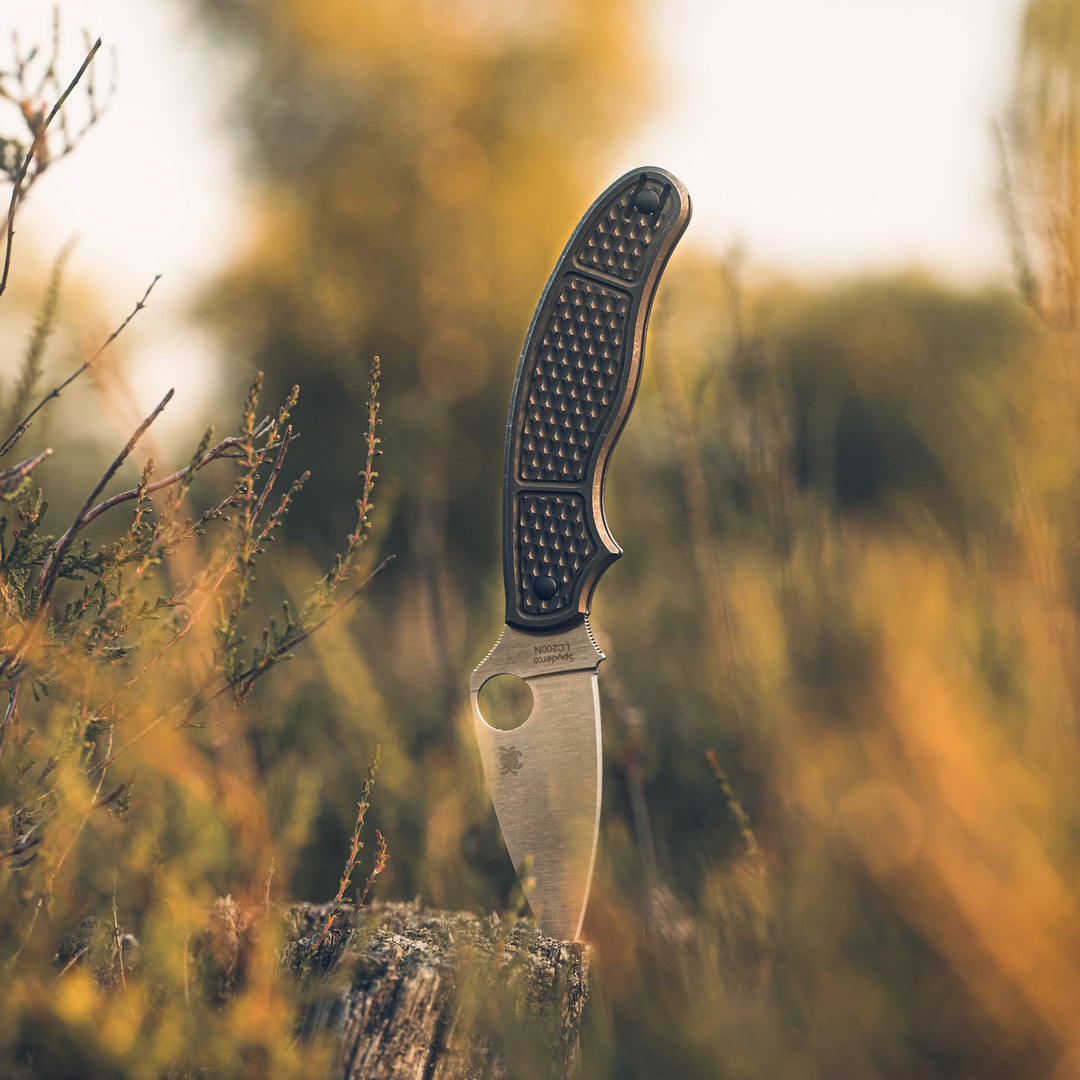 Daily Customs UKPK scales – mood shot